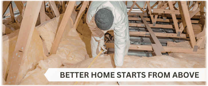 Attic Cleaning Acworth GA