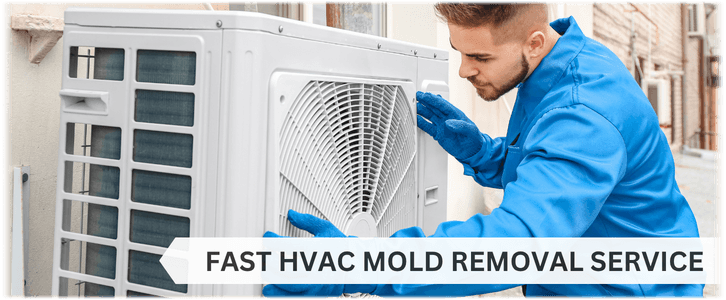 HVAC Mold Removal Acworth GA